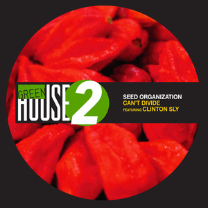 Can't Divide (El Richee Remix)