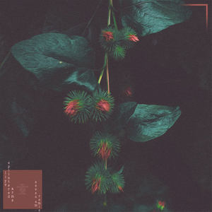 Splintered Arms (Seven AM Remix)