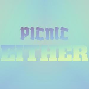 Picnic Either