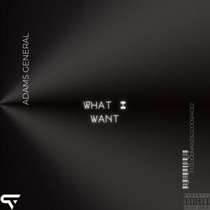 What I Want (feat. GoodNxws & GoodSpadez) [Explicit]