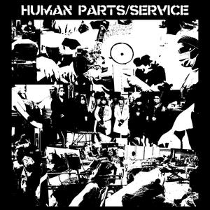 Human Parts & Service