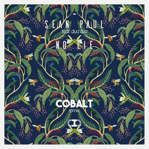 Cobalt - No Lie (Cobalt Remix)