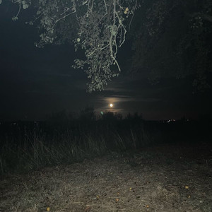 fine line (instrumental slowed & reverb with rain)