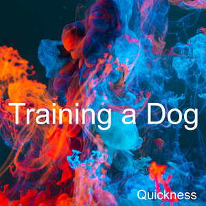 Training a Dog