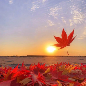 满眼星辰皆是你