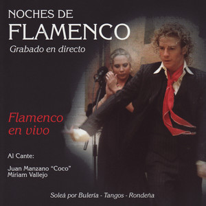 Noches de Flamenco - Flamenco en Vivo