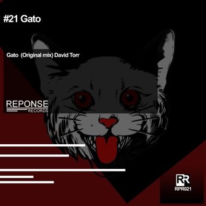 Gato