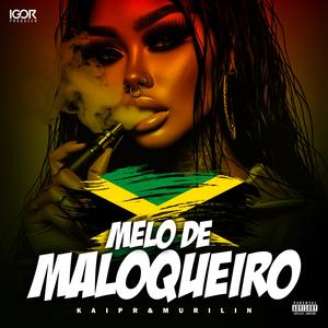 Melô de Maloqueiro (Reggae Remix)