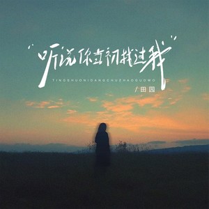 听说当初你找过我-田园