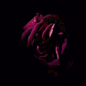 I’m back (Extended|Explicit)