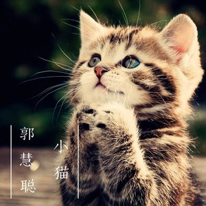 小猫