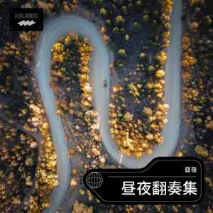 不流泪的机场 (翻奏: DJ阿易|圈妹|小可|小奶瓶) - 昼夜封面