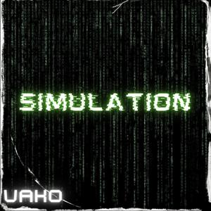 Simulation (Explicit)