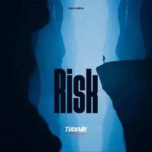 Risk