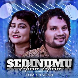 Sedinu Mu Hunu Hunu (Edm X Tapori Version)