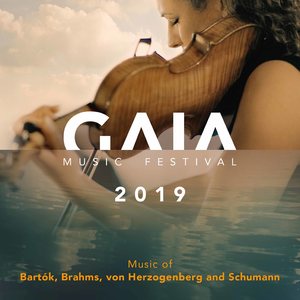 Gaia Music Festival 2019 (Live)