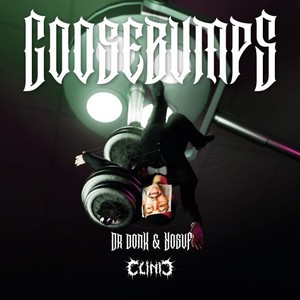 Goosebumps (Extended Mix|Explicit)