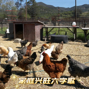 家庭兴旺六字歌