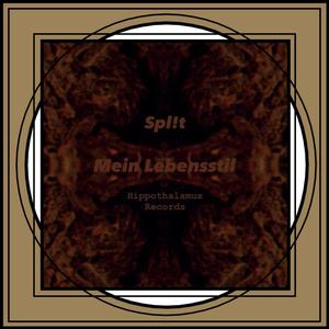 Mein Lebensstil (feat. Spl!t) [Explicit]