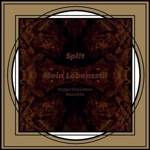 Mein Lebensstil (feat. Spl!t) (Explicit)