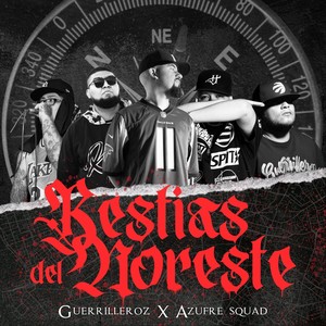 Bestias del Noreste (feat. Boldie, Bizor & Sulphuric Acid)