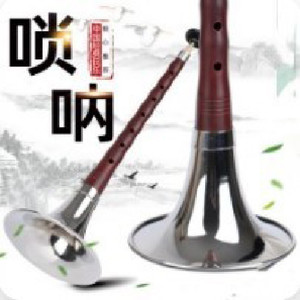 佛光初现 (唢呐版)封面