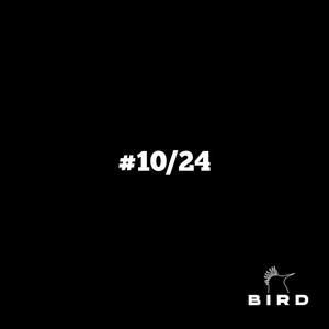 ¡HEY BIRD QUIERO ESE BEAT! #10