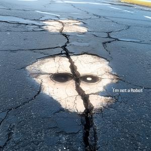 I'm not a Robot