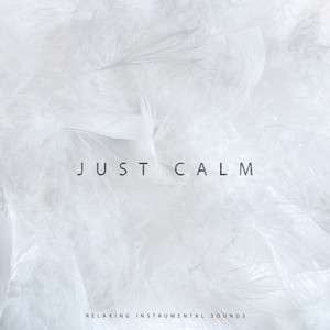 Just Calm – Relaxing Instrumental Sounds