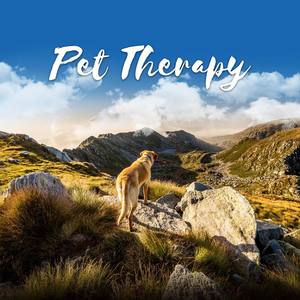 Pet Therapy - Cure for Separation Anxiety, Calms Down Your Dog while You Are Out