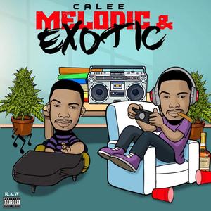 Melodic & Exotic (Explicit)