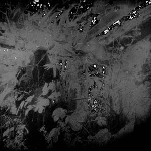 Algo que sabes que sobra (Explicit)