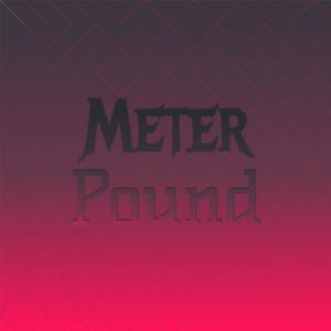 Meter Pound