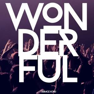 Wonderful (Explicit)