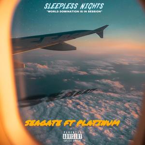 Sleepless Nights (feat. DJ Platinum sa) [Explicit]