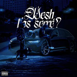 Wesh T'as Serré ? (feat. Lmltm) [Explicit]