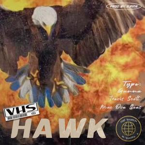 Free # HAWK _ Mac Ova Seas/Travis Scott/Gunna Type