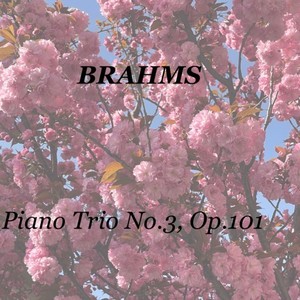 Piano Trio No.3, Op.101 - 2. Presto non assai