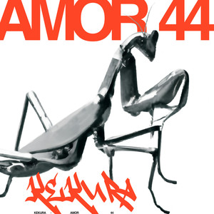 Amor 44