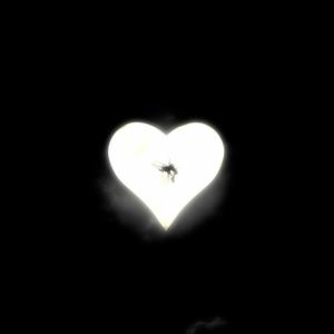 Kingdom Heartz
