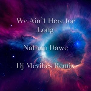 We Ain't Here For Long (feat. Nathan Dawe) (Remix)