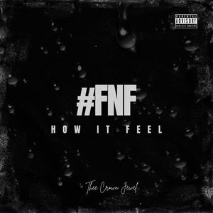 #FNF (How It Feel) [Explicit]