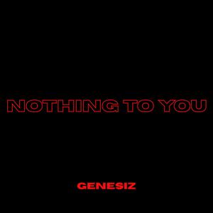 Nothing to You