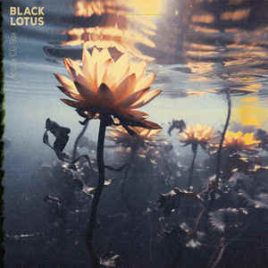 Black Lotus