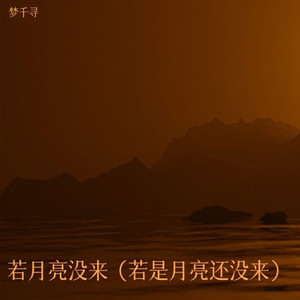 若月亮没来