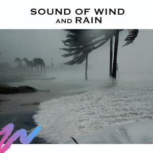 Sound of Wind and Rain
