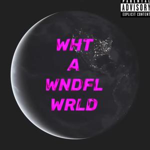 WHT A WNDFL WRLD (Explicit)