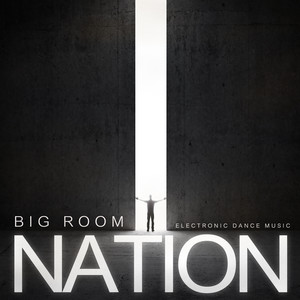 Big Room Nation - Electronic Dance Music