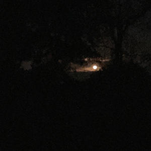 Leonardo Cyril - Do You Right (Explicit)