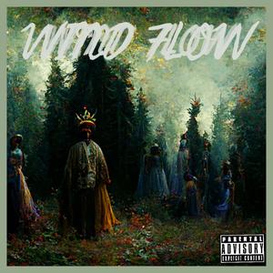 Wind Flow (Explicit)